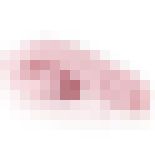 Fleshlight Limpy - Miękki penis - Średni
